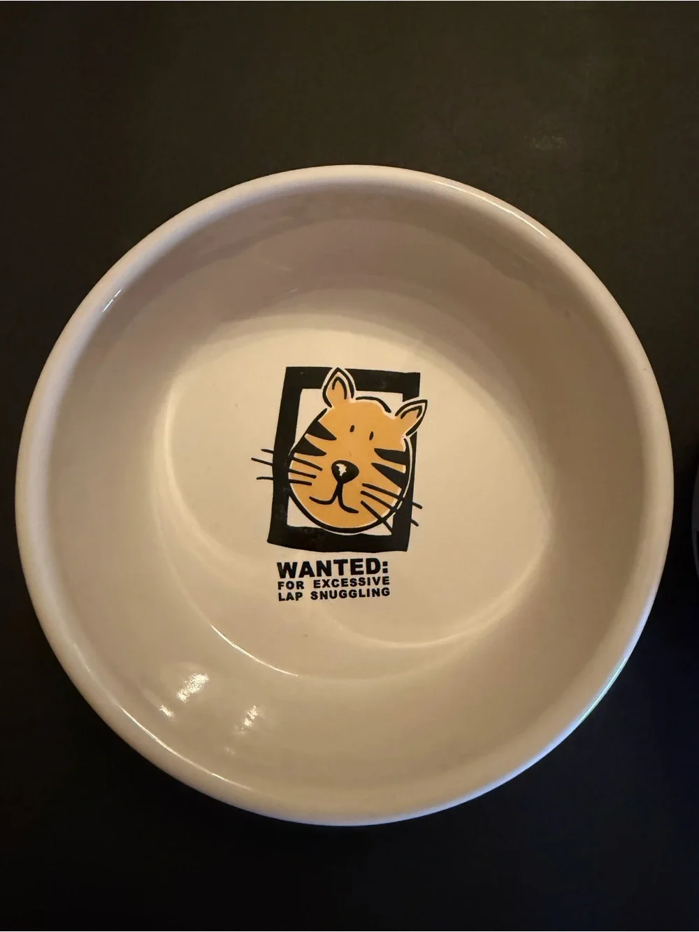 Mug Shots Wanted Stoneware Food Water Cat Bowls By Signature funny pet lowers